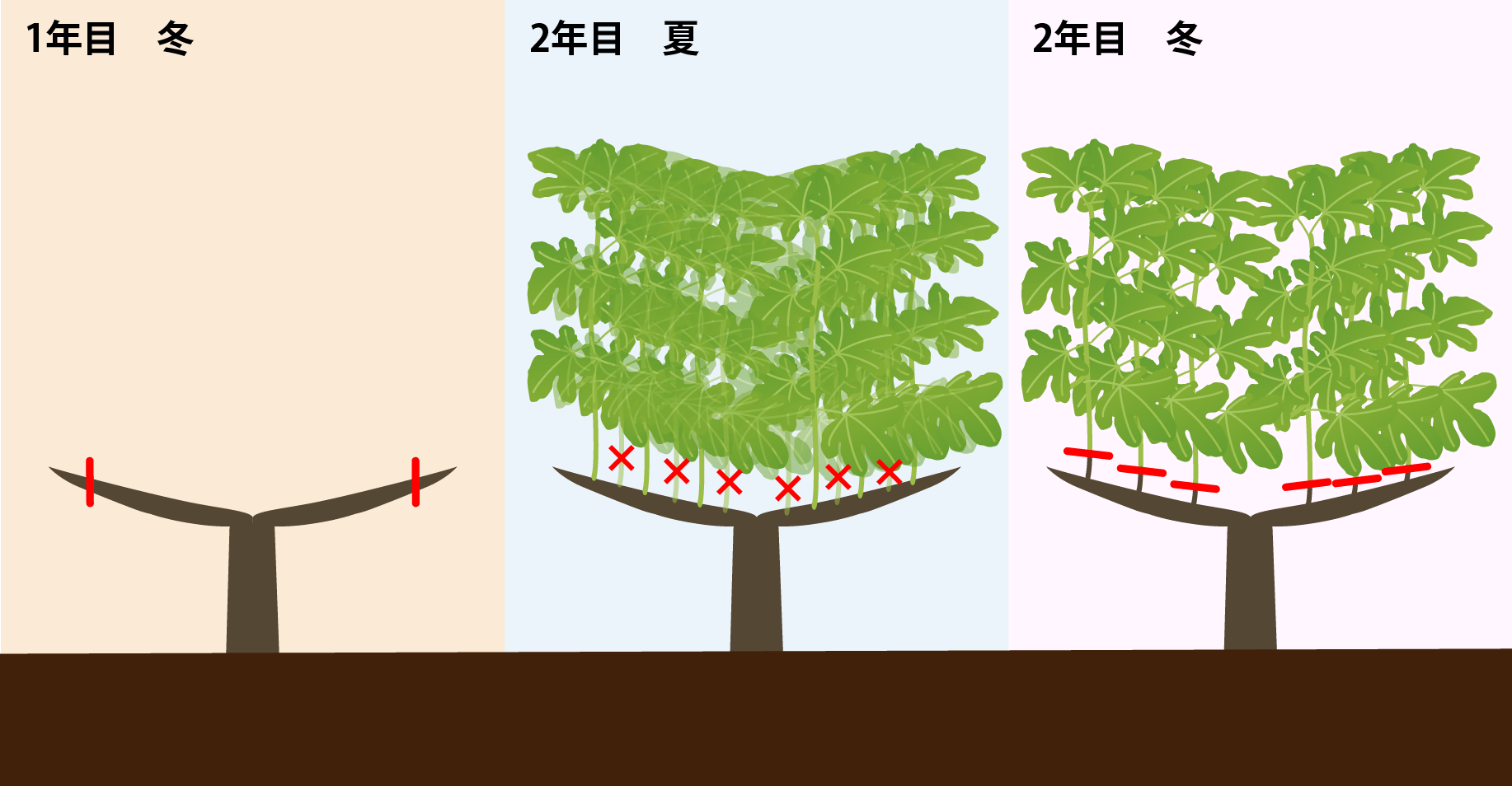 一文字仕立ての図解