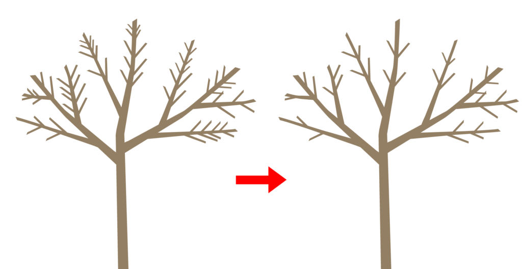 風通しをよくする透かし剪定