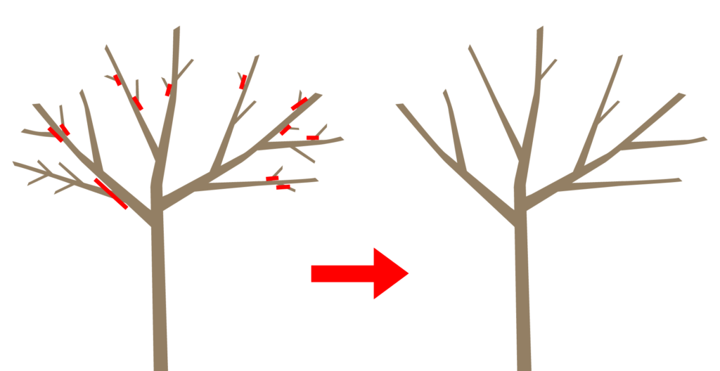間引き剪定の図解