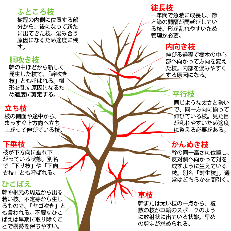 不要な枝