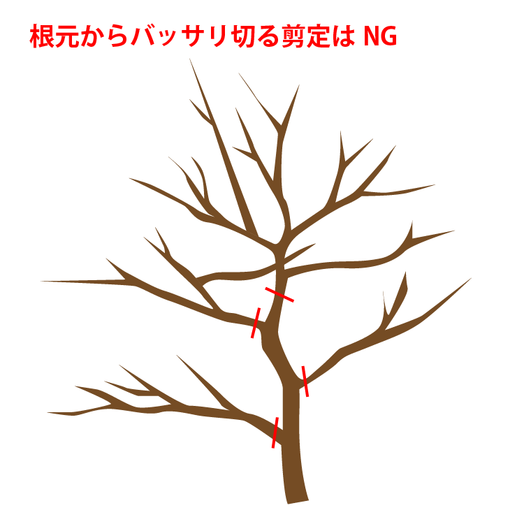 やってはいけない強剪定