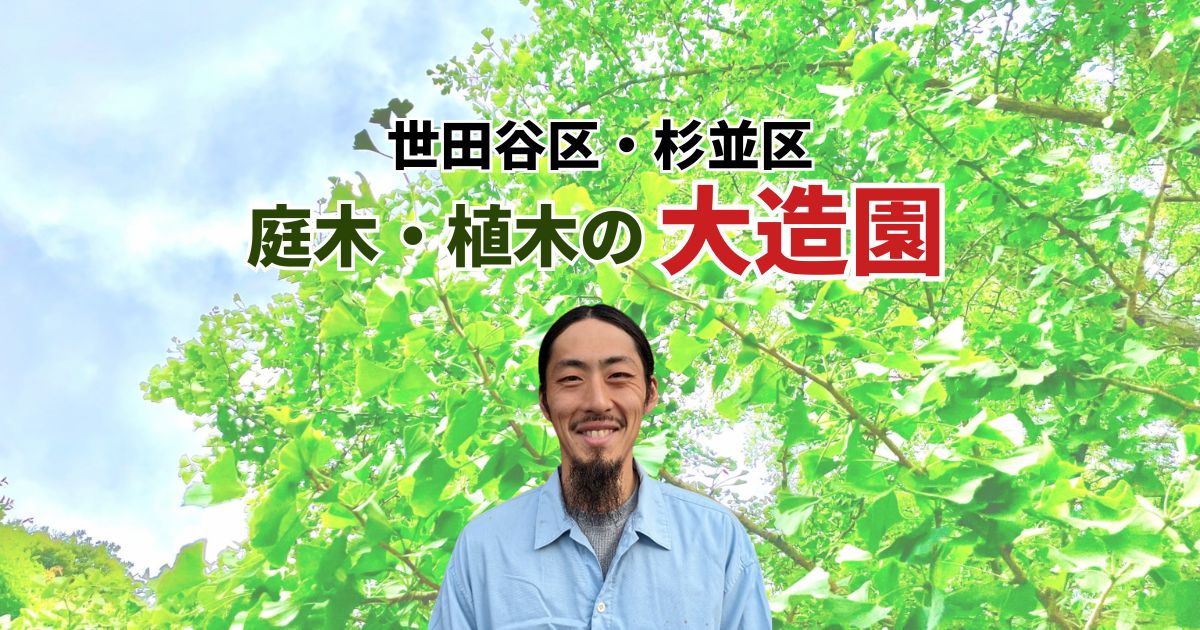 世田谷区・杉並区 庭木・植木の大造園
