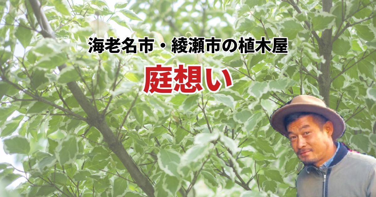 海老名市・綾瀬市の植木屋 庭想い