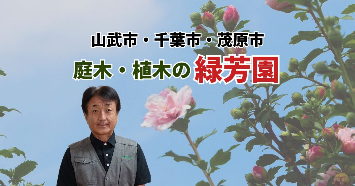 緑芳園