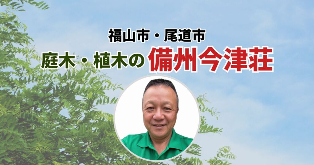 備州今津荘