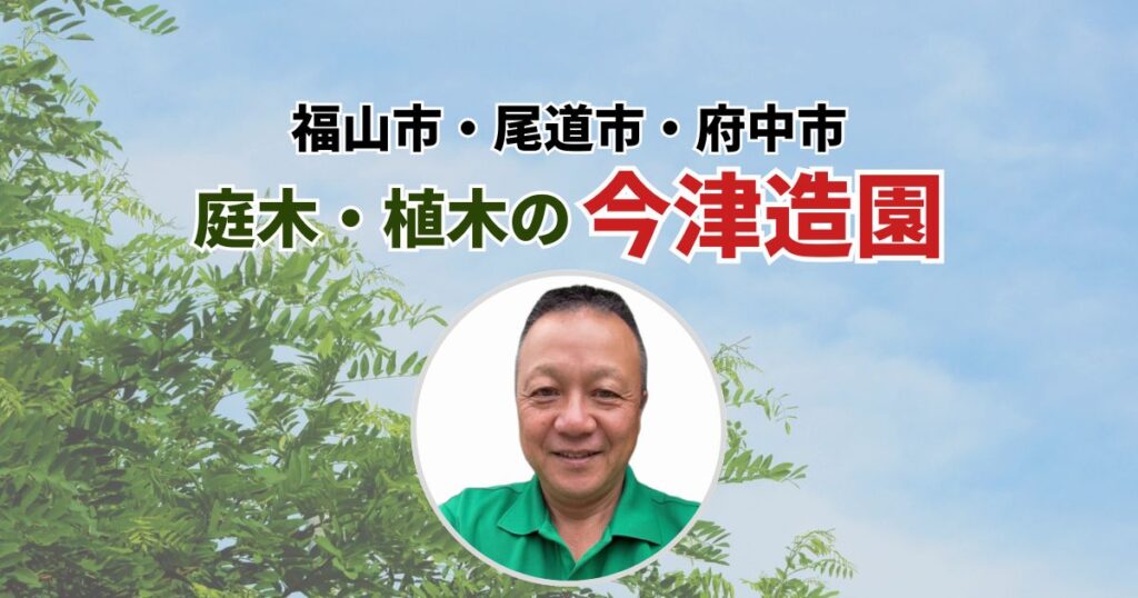 福山市、尾道市、府中市　庭木・植木の今津造園